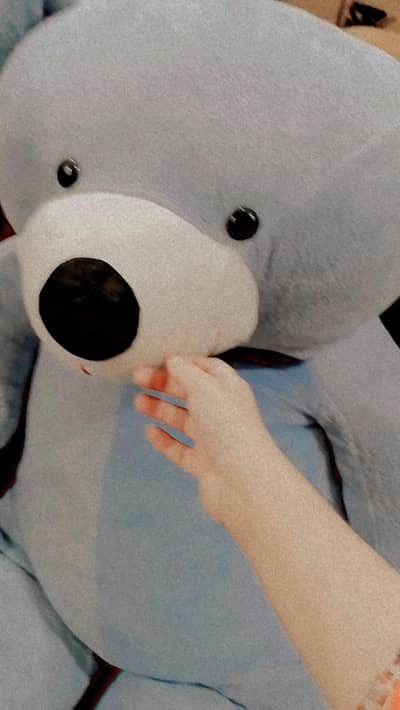 6 ft teady bear