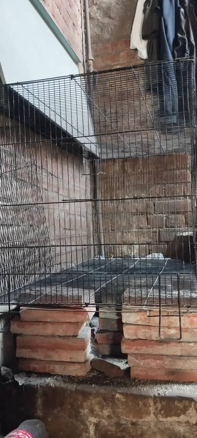 pet and parrot cage