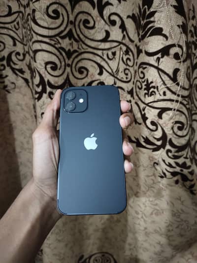 Iphone 12 official dual sim approved