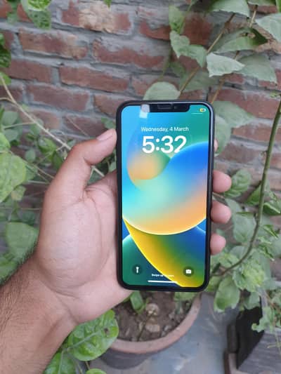 iPhone x (256GB)