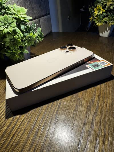 I phone 16 pro max ( 03232559518 ) is number pe contact karey