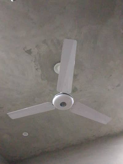 g f c ceiling fan for sale he bilkul new conditio me he tatal 3 fans h
