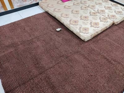 CARPET FOR SALE HOME USED 2 MONTHS