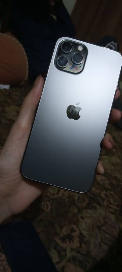 12 pro 256 gb FU with original charger
