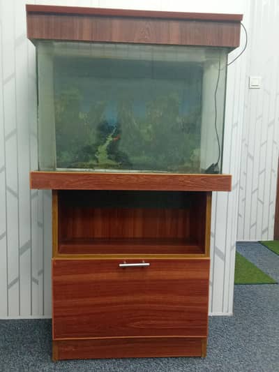 fish aquarium tank