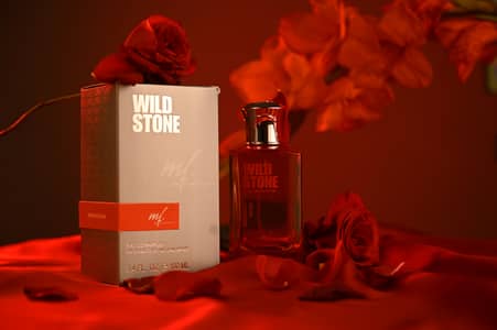 Wild Stone by ( Mr Favourite store )