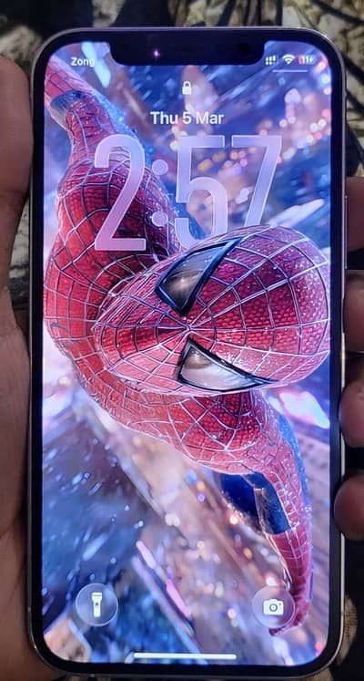 I phone 12 pro dual sim pta approve