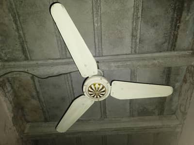 56 Inch Ceiling Fan for Sale