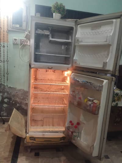 10 years old fredige for sale