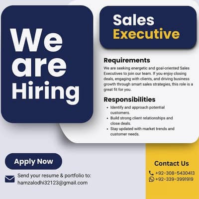 Sales Executive – Remote