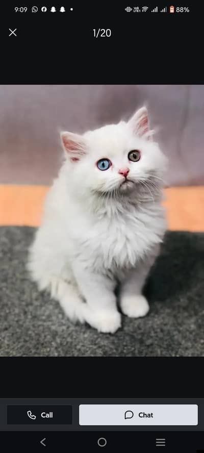 assalamualaikum i am going to abroad zo thats why i sale it. .