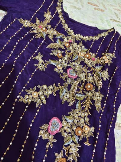 Net heavy embroided dress