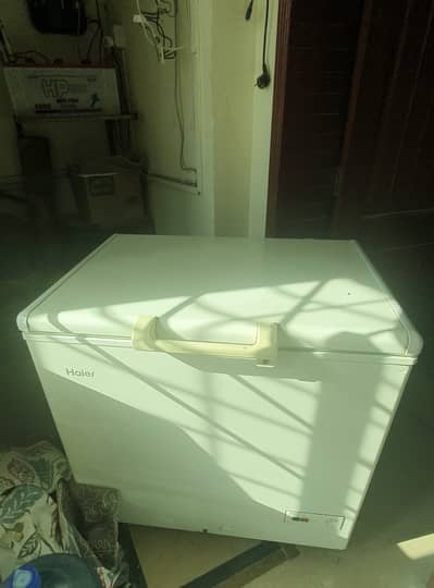 Haier Freezer