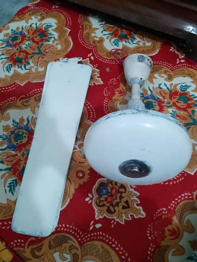 celling fan for sale