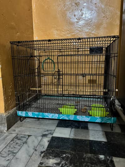 Parrot Cage