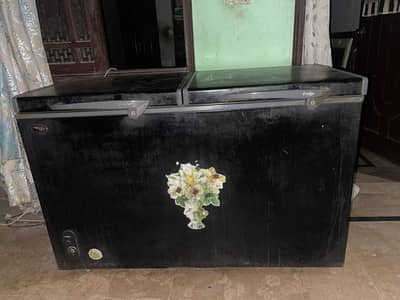 2 Door portion freezer