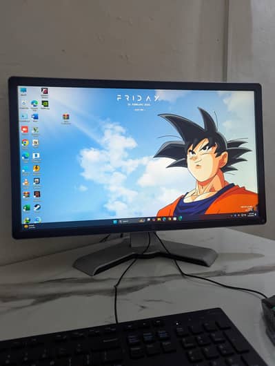 Dell 24inch LCD ips panel