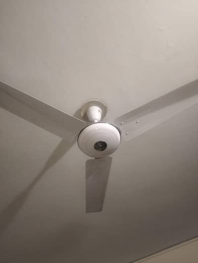 new celling fan 6 month used
