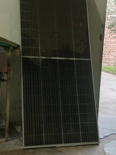 bilkul new ki trh h dipalpur city kchehri chok ghr me pari h