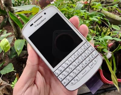 BLACKBERRY Q10 PTA APPROVED 03157731988