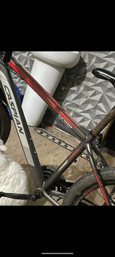 Caspian mountain bicycle