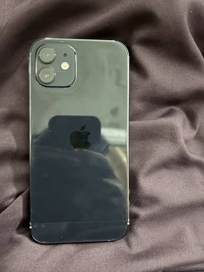 iPhone 12 dual pta approved