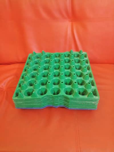10 egg trays plastic