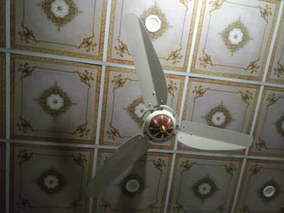 ceiling royal fan