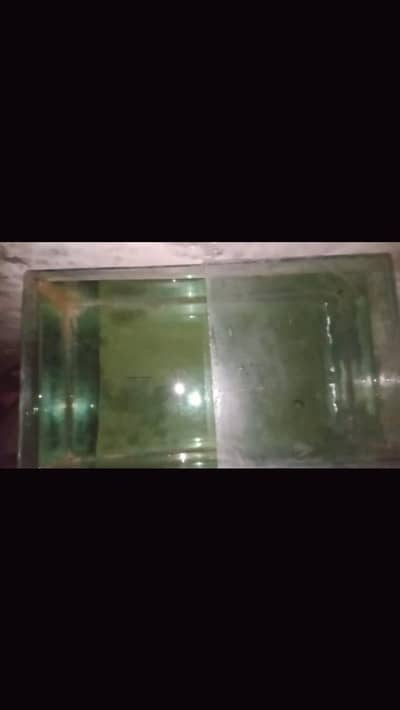 1 pump or 1 aquarium