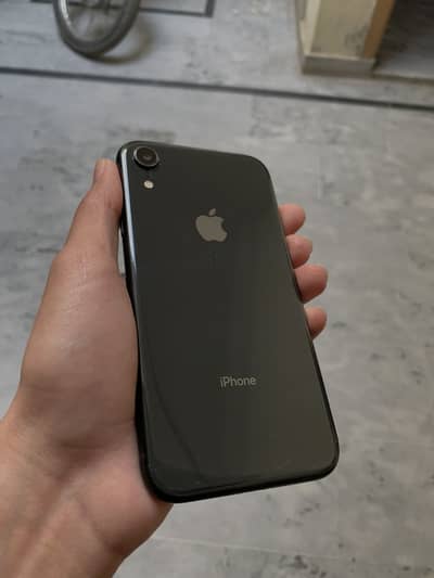 iPhone XR