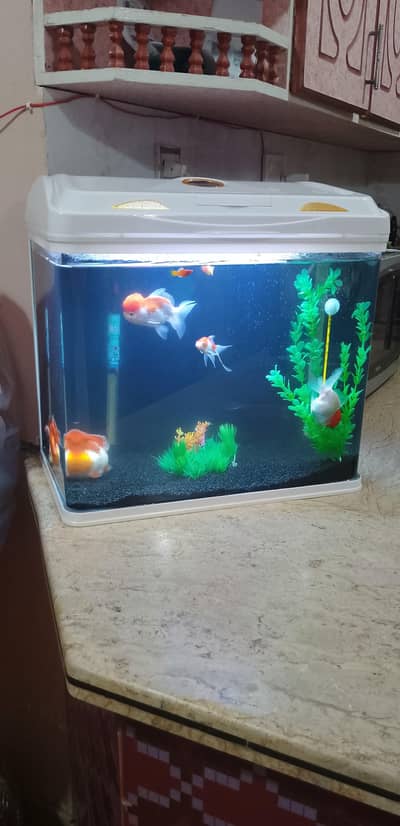 New Imported Aquarium