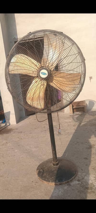 farshi pankha for sel