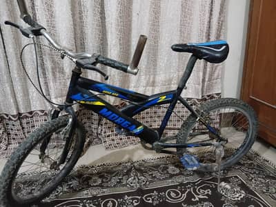 original Morgan cycle