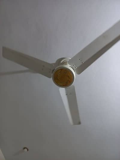 Royal ceiling fan original