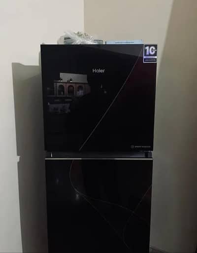 medium haire refrigerator