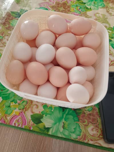 Andoon wali murghian