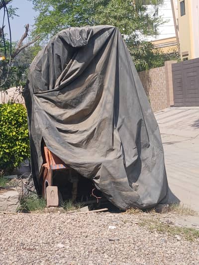 Original  Ching Chee