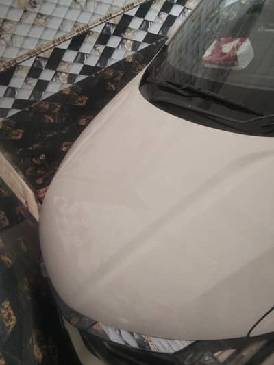 contact 03157138918/03027160275