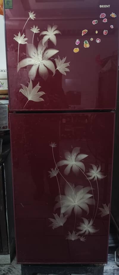 orient refrigerator Model No. 5554