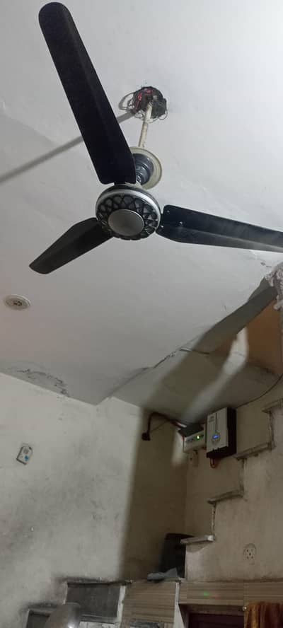 fan for sale