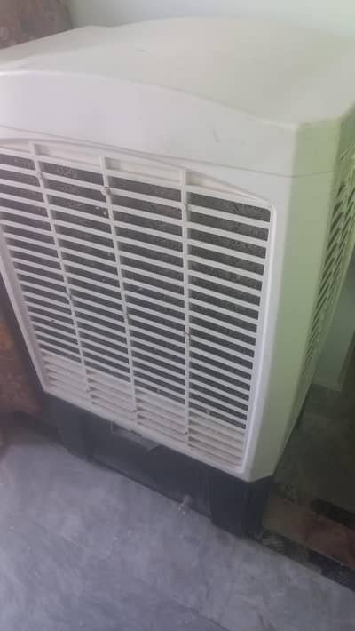 bilkul thek h bas necha s ak tair nai h