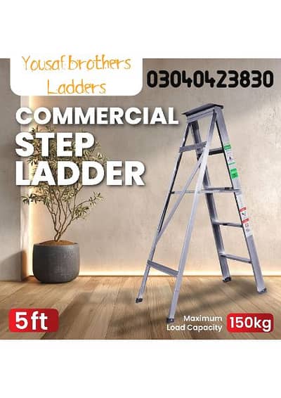 Folding Ladders