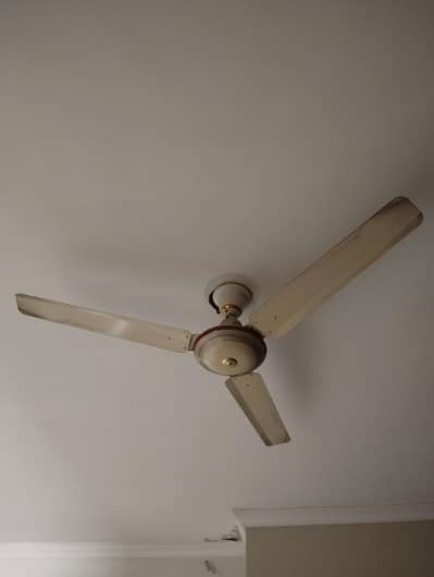 5 fans for sale
