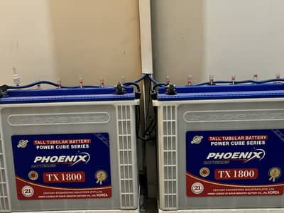 Phoenix tall tubular tx 1800