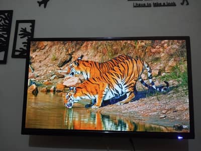 32 inch lcd tv simple