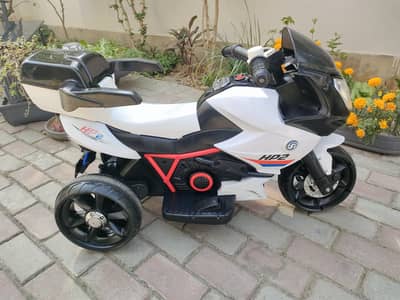 Electric Bike HP2 (Dual Motor)