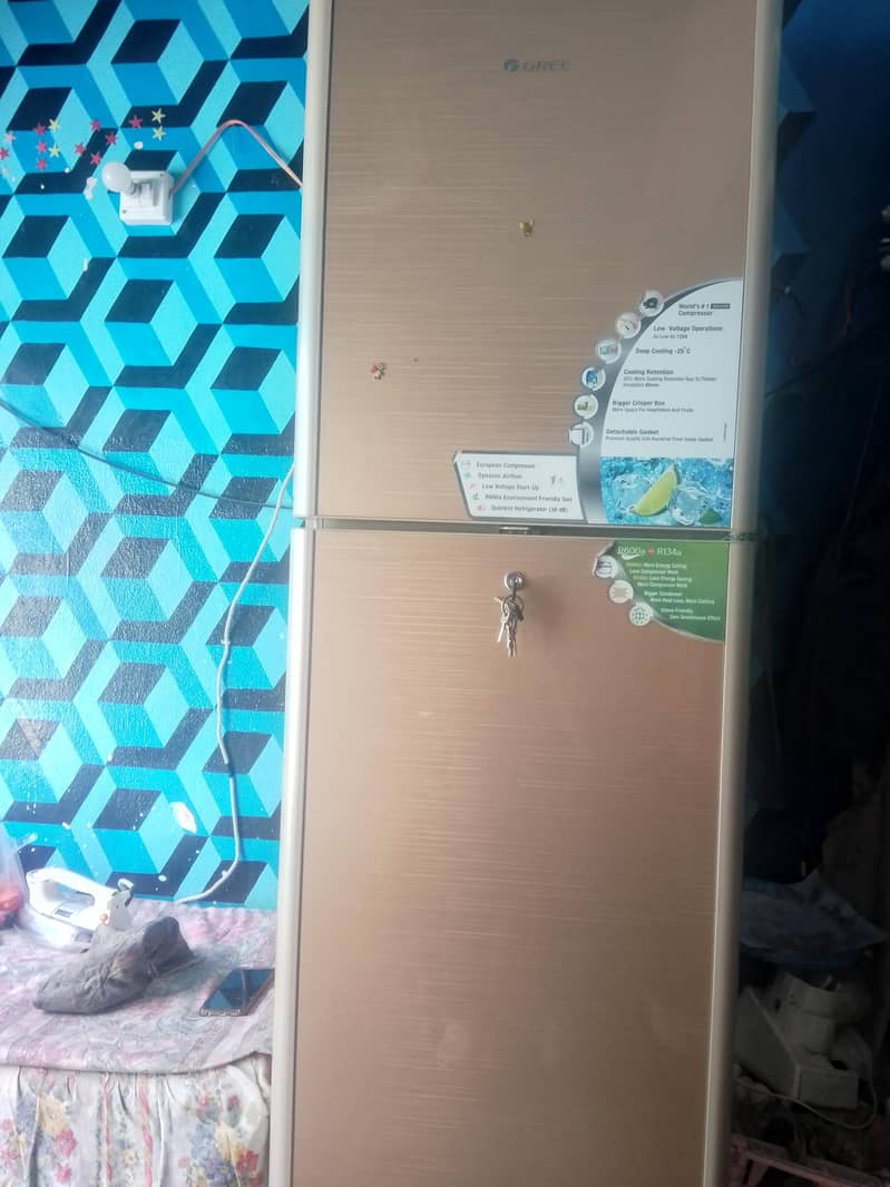 گری کمپنی کا ریفریجریٹر فروخت کے لیے – بہترین حالت 1