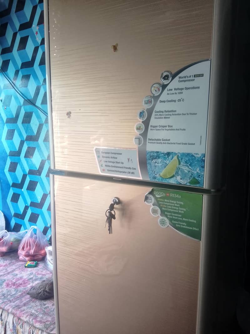 گری کمپنی کا ریفریجریٹر فروخت کے لیے – بہترین حالت 3