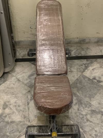 Professional Adjustable Gym Bench (Flat/Incline/Decline)