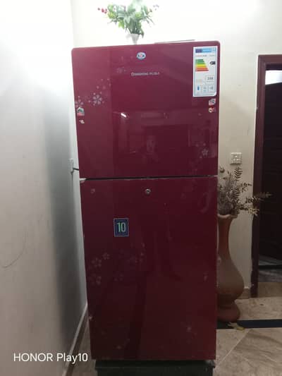 Changuang Ruba Fridge